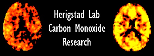 Herigstad Lab